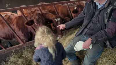 Now, they like a bit of food, - Our Yorkshire Farm