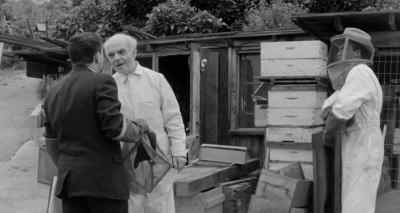 Now look here Zinthrop - The Wasp Woman