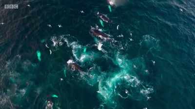 Now, more than ever, - Planet Earth: A Celebration