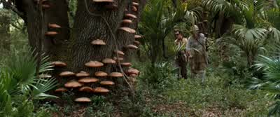 Now, Mr. - Ace Ventura: When Nature Calls