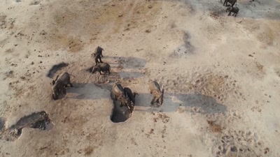 'Now they must dig deep - A Year on Planet Earth