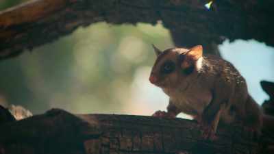 Now he must survive
in a world reduced to ashes. - Tiny World