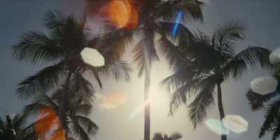 Now, on Christmas night,
right, the following night, - The Resort