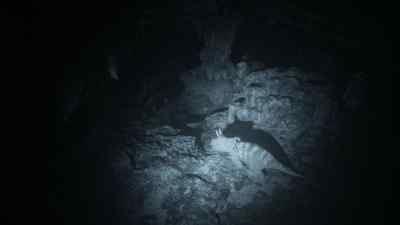 Now, one wrong turn could be disastrous. - Prehistoric Planet