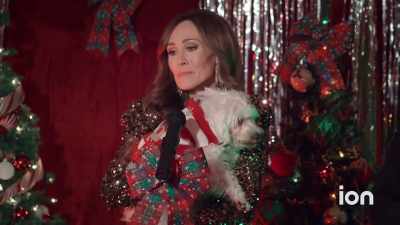 Now, please enjoy the party - Dognapped: A Hound for the Holidays
