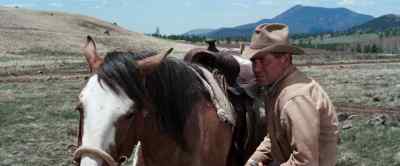 Now, please, just this one time,
don't buck, huh? - The Rounders
