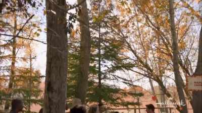 - Now remember, spring
is tapping season - Sweet Autumn