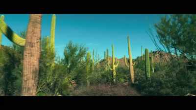 - Now that right there
is a Saguaro cactus. - Woman in the Maze