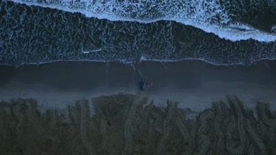 'Now safely buried, - A Year on Planet Earth