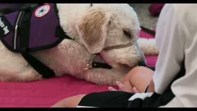 Now, as she's getting older, - Dogs