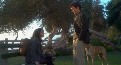 Now should I get down on all fours - The Truth About Cats &amp; Dogs