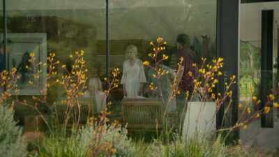 Now, since Zach appeared
in the forest, - Nine Perfect Strangers