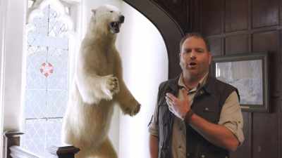 Now, taxidermied specimens
like this - Tales From The Explorers Club