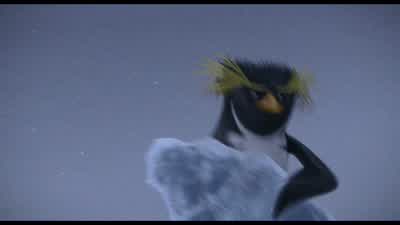 I used to scout songbirds Toucans for this musical revue in BrazilNow that's show business Toucans - Surf's Up