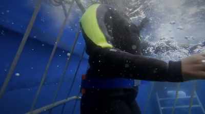 Now that the shark is close, - Shark Attack Files