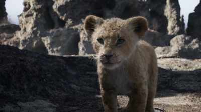 Now the sun is going down, - The Lion King