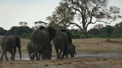 'Now is the toughest time - A Year on Planet Earth