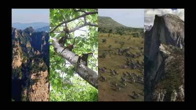 Now there are over
4,000 worldwide - Yellowstone: One-Fifty