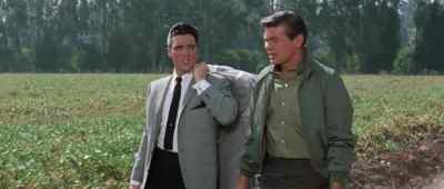 Now, there's so many things
you could have been. - It Happened at the World's Fair