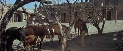 Now, there's another one that
will never make it to Matamoros. - Bandolero!