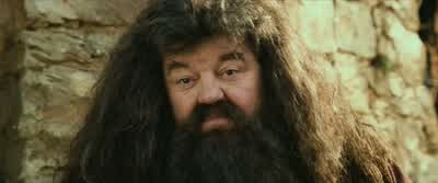 Now, this one's been hurt bad by something. - Harry Potter and the Sorcerer's Stone
