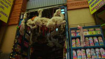 Now, those white things
that you're seeing over there hanging - Sue Perkins: Perfectly Legal