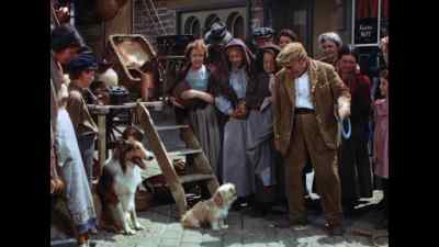 Now, Toots,
how about a nice ride on the ball? - Lassie Come Home