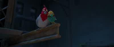 Now, try not to move! - Rio