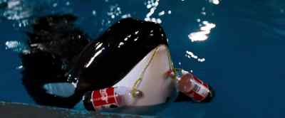 Now you want to mess around. - Free Willy