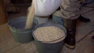 NOW WE'LL POUR THAT
UP IN THE HOPPER. - Dirty Jobs