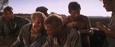 Now, we're just gonna lay low
and build time. - Cool Hand Luke