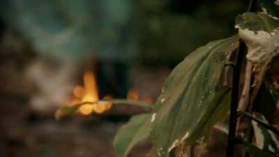 NOW WE'RE OUT IN THE JUNGLE, - Expedition Mungo