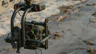 Now we've just filmed it. - In the Footsteps of Elephant