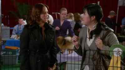 Now what are we supposed to do?
we have to collect its spit. - Drop Dead Diva