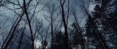 Now what they did have
was a complex mythology - Deep Woods