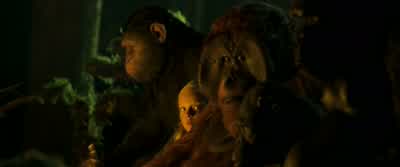 Now what do we do? - War for the Planet of the Apes
