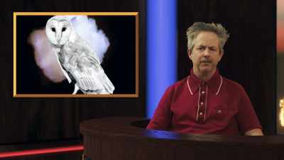 Now what do owls have
to do with UFOs or UAPs - Caviar