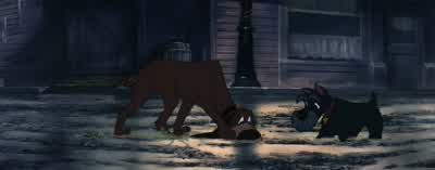 Now what? - Lady and the Tramp
