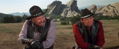 Now what the hell do you think you're doing with that tin star boy - Blazing Saddles