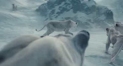 Now what's happening? - Mufasa: The Lion King