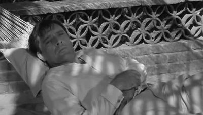 Now what's the squawk now - The Night of the Iguana