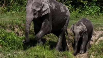 Now they will share
their stories - When Nature Calls with Helen Mirren