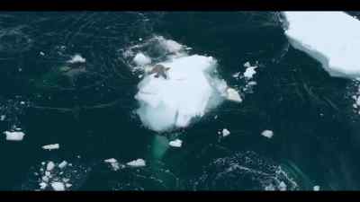 Now they work from below - Our Oceans