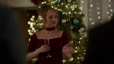 Now, this work starts far
before the dogs are even born. - My Christmas Guide