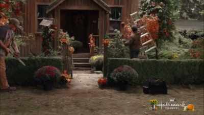 Now, if you could just move
that potted plant - A Harvest Wedding