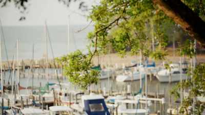 Now, when you decide
to start dating again... - Love in Fairhope