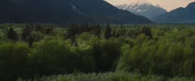 Νоw yоu guyѕ саn dо ѕоmе ѕеrіоuѕ dаmаgе. - The Twilight Saga: Breaking Dawn   Part 2