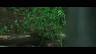 Now, you pray on what happened today. - The Devil All the Time