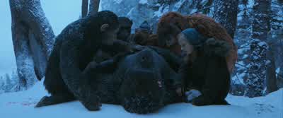 Now......you sound like Koba. - War for the Planet of the Apes