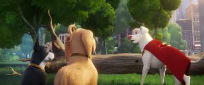Now, if you'll excuse me, - DC League of Super Pets